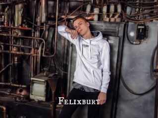 Felixburt