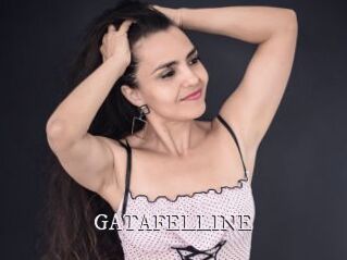 GATAFELLINE