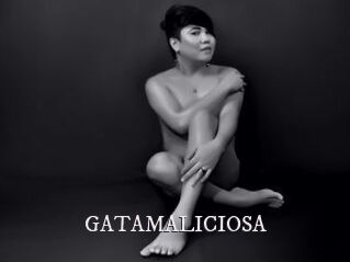 GATAMALICIOSA