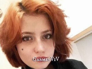 GarminViV