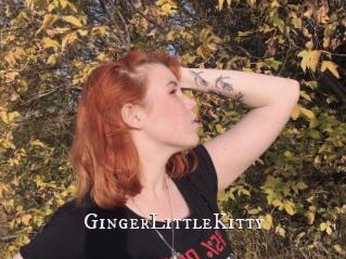 GingerLittleKitty