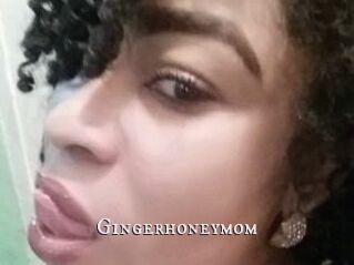 Gingerhoneymom
