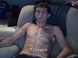 Gnomeo