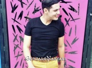 GonzaloNarvaes