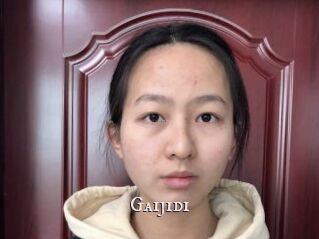 Gaijidi