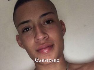 Garfiosex