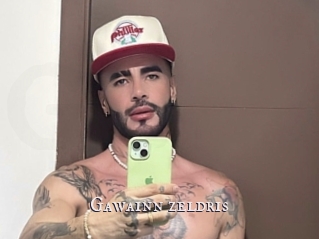 Gawainn_zeldris