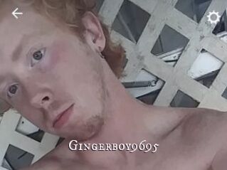 Gingerboy9695