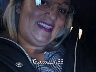 Grosseins88