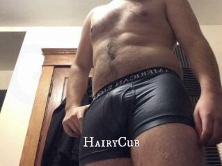 HairyCub