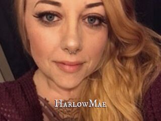 HarlowMae