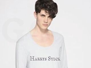 Harrys_Stick