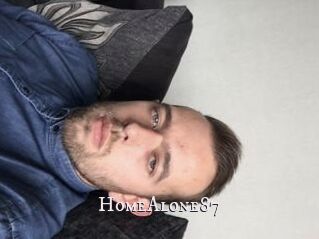 HomeAlone87