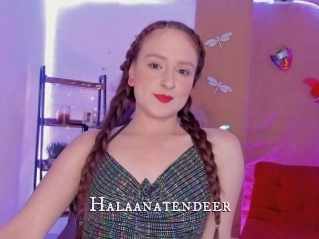 Halaanatendeer