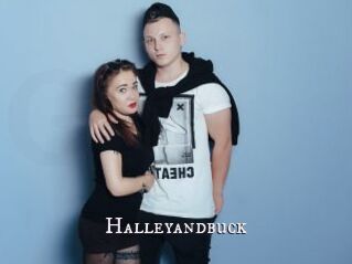 Halleyandbuck