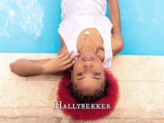 Hallybekker