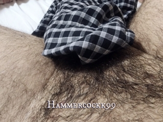 Hammercockk99