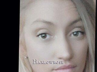 Harlowrose