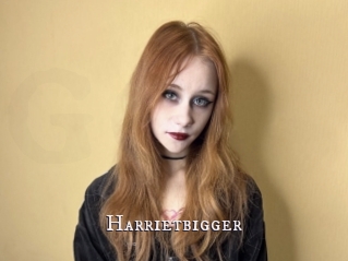 Harrietbigger