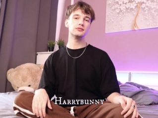 Harrybunny