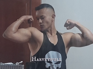 Harveywull
