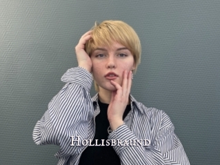 Hollisbraund