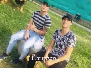 Hornyboysx