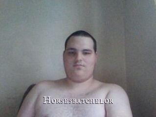Horsesbatchelor
