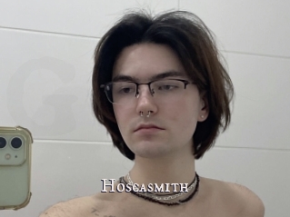 Hoscasmith