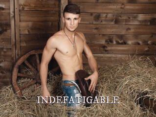 INDEFATIGABLE