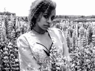 Indigo_22
