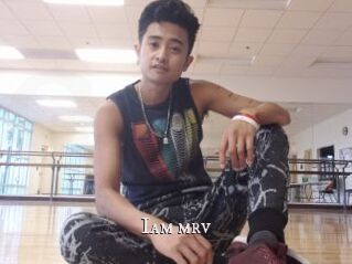 Iam_mrv