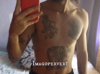 Imagopervert