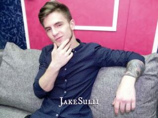 JakeSulii