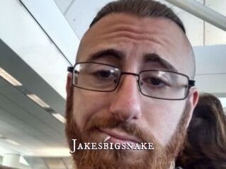 Jakesbigsnake