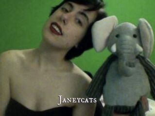 Janeycats
