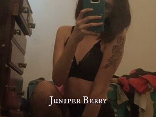 Juniper_Berry