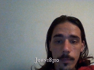 John18310