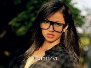 Kattiecat