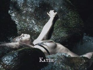 Katze