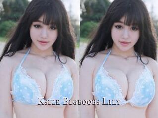 Ksize_Bigboobs_Lily