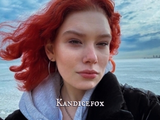 Kandicefox
