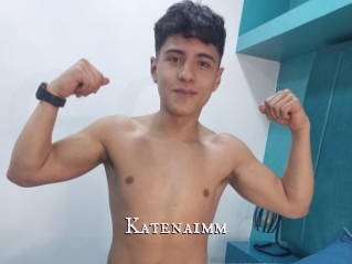 Katenaimm