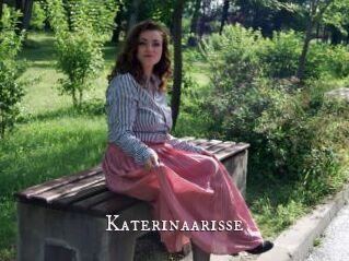 Katerinaarisse