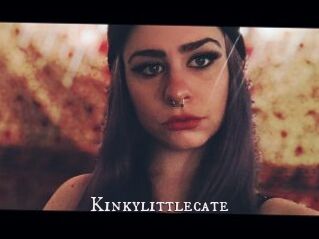 Kinkylittlecate