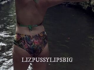 LIZPUSSYLIPSBIG