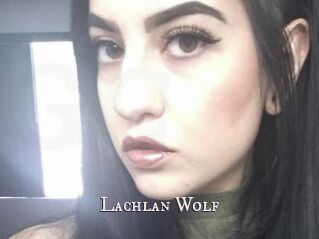 Lachlan_Wolf