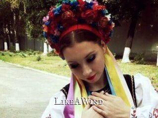 Like_A_Wind