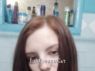 LilGingerCat