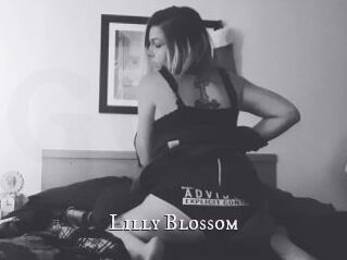 Lilly_Blossom